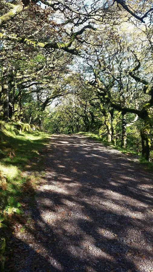 Bed & Breakfast Cloghan Lodge Castleisland